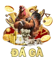 Thông báo ưu đãi